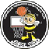 https://img.horayart.com/img/basketball/team/e416830f4083698237c559f8988ddb25.png