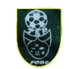 https://img.horayart.com/img/football/team/12b8da6e816dbb52eef7ed7e5e831445.png